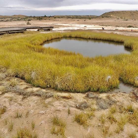 Boardwalk and springs at the Bubbler Springs